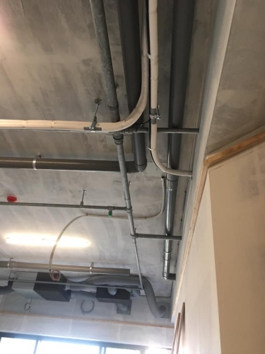 50650284_2420548871509163_3651632004522311680_n